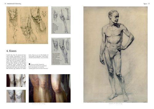 Fundamentals of Drawing V.A. Mogilevtsev